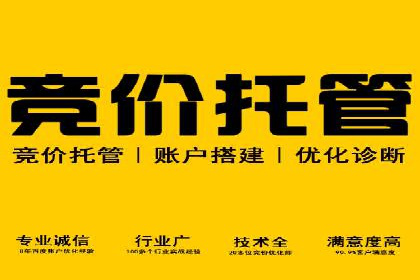 百度竞价排名案例揭秘：广告创意的重要性